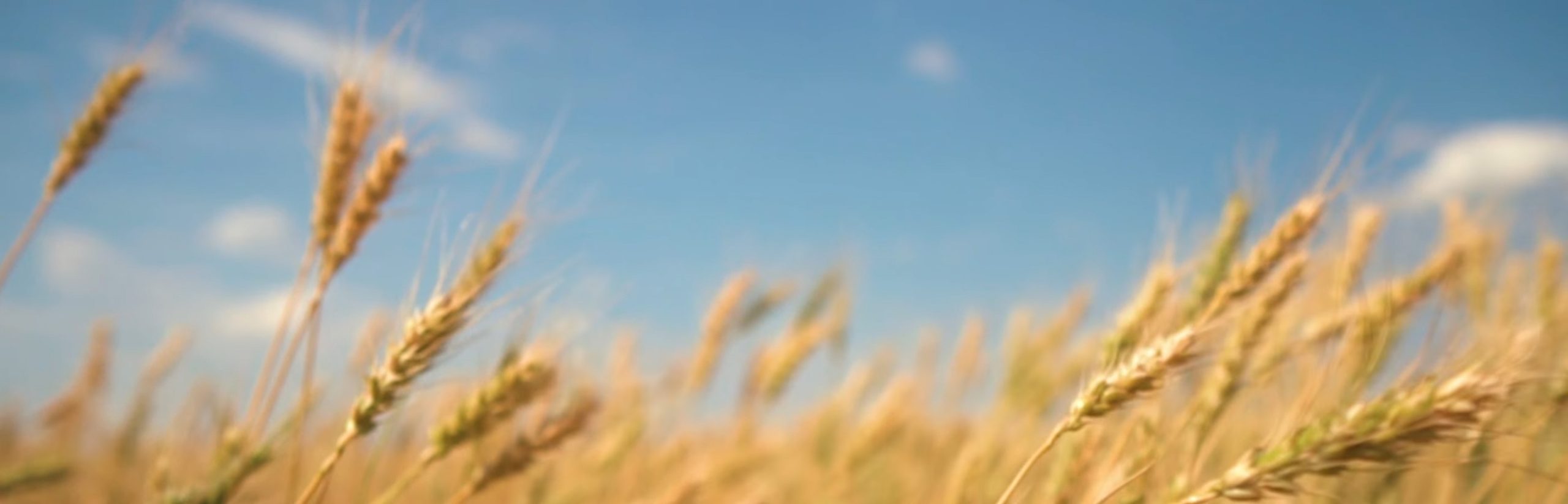 鑫帆堂 - 收集分享你最爱的coser写真图片合集！